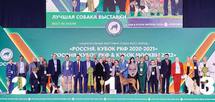 выставка собак «Россия 2022»