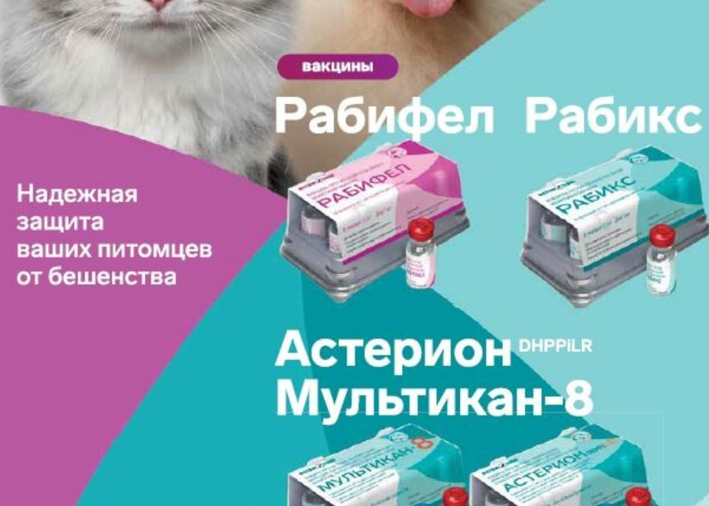 Таблетки от бешенства для котов.